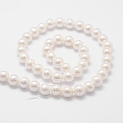 Old Lace Rainbow Plated Shell Pearl Bead Strands, Grade A, Round, Old Lace, 6mm, Hole: 1mm, about 62pcs/strand, 16 inch