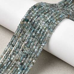 Апатит Природного апатита нитей бисера, граненый стол, вырезанный куб, 2.5x2.5x2.5 мм, отверстие : 0.8 мм, около 172 шт / нитка, 14.96'' (38 см)