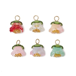 Цветок Стеклянные бусины с прозрачными акриловыми колпачками, ромашки-разделители из сплава в тибетском стиле, бусины из АБС-пластика с имитацией жемчуга и железные колпачки для бусин, цветок, 14x11x11 мм, отверстие : 2.8 мм