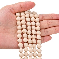 Fossil Natural Fossil Beads Strands, Round, 8mm, Hole: 1mm, about 47pcs/strand, 16 inch