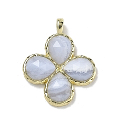 Синий Кружевый Агат Натуральные граненые подвески из голубого кружевного агата, Подвески в виде клевера с латунными застежками с гальваническим покрытием., золотые, 30~31x25.5x5.5~6 мм, отверстие : 4x3 мм