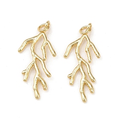 Настоящее золото 18K Латунные подвески, филиал, с прыжковых колец, без свинца и без кадмия, долговечный, стойки покрытие, реальный 18 k позолоченный, 32x15x2 мм, отверстие : 3 мм