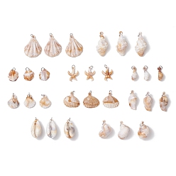 Нержавеющая Сталь Цвет 30 шт 10 стили акриловые подвески, подвески в форме ракушки/морской звезды, с 304 кольцами из нержавеющей стали, цвет нержавеющей стали, 23.5~41x10.5~30x5~15 мм, отверстие : 5 мм, 3 шт / стиль