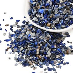 Ляпис-Лазурь Природных лазурит чип бисер, упавший камень, без отверстия , 3~5x2~4 мм, Около 4300 шт / 500 г