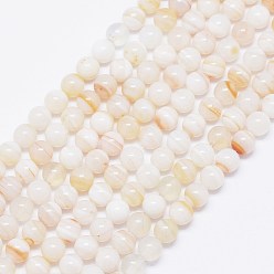 Banded Agate Natural Stripe Agate Beads Strands, Round, 6mm, Hole: 1mm, about 62pcs/strand, 15.74 inch