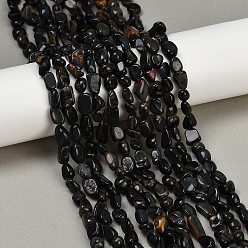 Тигровый глаз Нити бусин из натурального крашеного синего тигрового глаза, самородки, упавший камень, 6~11x6~8x4~7 мм, отверстие : 1 мм, около 49~51 шт / нитка, 15.35~15.75'' (39~40 см)