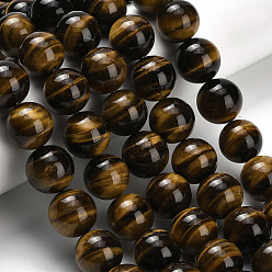 Тигровый глаз Природных тигровый глаз бисер нитей, круглые, класс А, 16 мм, отверстие : 1.2 мм, около 25 шт / нитка, 15.83'' (40.2 см)