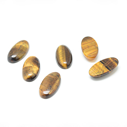 Tiger Eye Natural Tiger Eye Gemstone Cabochons, Oval, 30x15x5mm