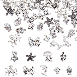 Античное Серебро 80 бусины из сплава в тибетском стиле, разнообразные, античное серебро, 9~16x8~16.5x3~5 мм, отверстие : 0.9~1.4 мм