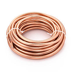 Сэнди Коричневый Круглый анодированный алюминиевый провод, гибкая металлическая проволока, для изготовления ювелирных изделий, песчаный коричневый, 3 датчик, 6.0 мм, 7 м / 500 г (22.9 футов / 500 г)