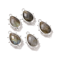Лабрадорита Подвески из натурального лабрадорита, с петлями из латуни с платиновым покрытием, граненые, слеза, 24x14.5x5 мм, Отверстие : 1.2 мм & 1.4 мм