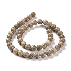 Maifanite Natural Maifanite/Maifan Stone Beads Strands, Round, 8mm, Hole: 1mm, about 46pcs/strand, 15.3 inch(39cm)