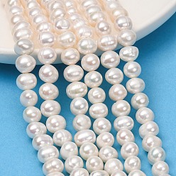 Old Lace Natural Cultured Freshwater Pearl Beads Strands, Potato, Grade 4A, Old Lace, 7~8mm, Hole: 0.5mm, about 50~59pcs/strand, 13.58''(34.5cm)