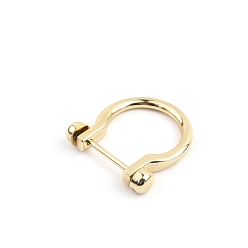 Light Gold D-образные кольца из цинкового сплава, пряжки с винтовым кольцом, для замены замка-молнии на брелоке для ключей, золотой свет, 46x42 мм