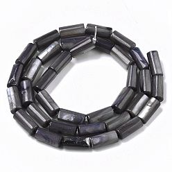 Slate Gray Natural Freshwater Shell Beads, Dyed, Column, Slate Gray, 10x4.5mm, Hole: 0.9mm, about 36pcs/Strand, 14.17 inch(36 cm)