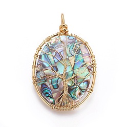 Golden Abalone Shell/Paua Shell Wire Wrapped Big Pendants, with Brass Findings, Oval with Tree, Golden, 55~56.5x35.5~36x7.5~8.5mm, Hole: 4.5~6.5x6.5~8.5mm