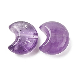 Аметист Натуральные полосатые бусины из аметиста, серп, 16.5x14x8 мм, отверстие : 1.2 мм