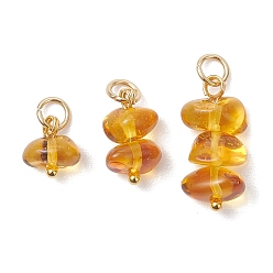 Золотой 3шт. 3 стили подвесок из натуральных янтарных самородков, подвески из бисера, 304 фурнитура из нержавеющей стали, золотые, 9~19.5x8.5~9.5x6~7 мм, Перейти кольцо: 5x0.8 мм, 3.4 мм внутренним диаметром, 1 шт / стиль
