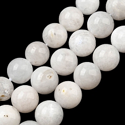 Rainbow Moonstone Бусины из натурального радужного лунного камня, круглые, 8 мм, отверстие : 0.8 мм, около 50~51 шт / нитка, 15.75'' (40 см)