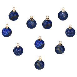 Ляпис-Лазурь Природный лазурит прелести, с золотыми латунными петлями, круглые, 13x10 мм, отверстие : 1.6 мм, 10 шт / коробка
