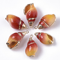 Оранжево-Красный Аэрозольная краска и гальванические спиральные подвески, с золотыми тонами латунных петель, оранжево-красный, 32~40x17~20x15~17 мм, отверстие : 1.6 мм