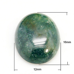 (RRHB277) Кристалл на подкладке из медово-бежевого цвета Природных драгоценных камней кабошон, овальные, Индийский агат, 16x12x5 мм