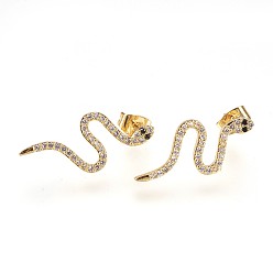 Золотой Латунь уха шпильки, с кубического циркония, без свинца, без кадмии и без никеля, змея, прозрачные, золотые, 24x11x1.5 мм , штифт: 0.8 мм