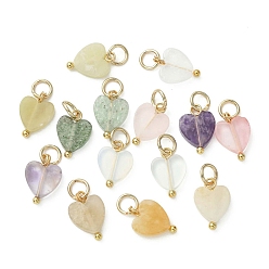 Смешанные камни Природные каменные смешанные подвески, подвески-сердечки с латунными петлями, золотые, 11.5x8x2.5 мм, Перейти кольцо: 5x0.8 мм, внутренний диаметр: 3 мм