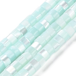 Светло-голубой Нити натуральных бусин, окрашенных в ракушки трохуса, Плоский круглый / диск, Heishi бусы, светло-голубой, 4x2.5 мм, отверстие : 1 мм, около 155~157 шт / нитка, 15.67~15.87'' (39.8~40.3 см)