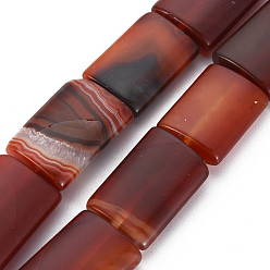 Red Agate Brazil Red Agate Beads Strands, Dyed & Heated, Rectangle, 25~27.5x18.5x7mm, Hole: 1.6mm, about 15pcs/strand, 14.96 inch(38cm)