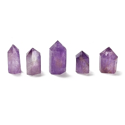 Amethyst (Defective Closeout Sale: Broken Corners) Natural Amethyst Home Decorations, Display Decoration, Healing Stone Wands, for Reiki Chakra Meditation Therapy Decos, Hexagon Prism, 23.5~31.5x19.5~24.5x38.5~58.5mm