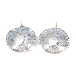 Аквамарин Натуральные аквамарин большие подвески, с платиновой и латунной фурнитурой, долговечный, без свинца и без кадмия, плоские круглые с деревом, 62x49x6~13 мм, отверстие : 7x4 мм