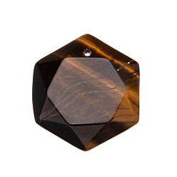 Тигровый глаз Природных тигровый глаз подвески, шестиугольник, 25x28x10 мм