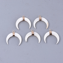 Золотой Подвески из пресноводных оболочек, с латунной фурнитурой , двойной рог / полумесяц, золотые, 25~26x25x4 мм, отверстие : 1.8 мм