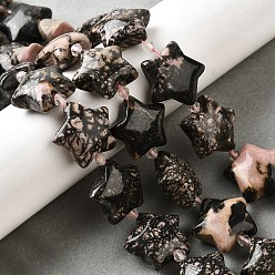 Родонит Природные родонит бисер нитей, с бисером, звезда, 20x21x10 мм, отверстие : 1.2 мм, около 19 шт / нитка, 15.59''~16.02'' (39.6~40.7 см)