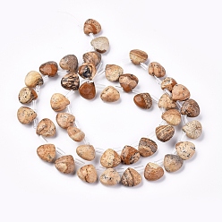 Picture Jasper Natural Picture Jasper Beads Strands, Top Drilled Beads, Faceted, Teardrop, 10~10.5x10~10.5x5mm, Hole: 0.6mm, about 39pcs/strand, 15.94 inch(40.5cm)