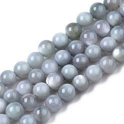 Gainsboro Natural Freshwater Shell Beads Strands, Dyed, Round, Gainsboro, 2.5mm, Hole: 0.5mm, about 122~136pcs/strand, 14.57 inch~15.63 inch(37cm~39.7cm)
