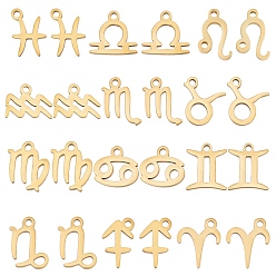 Constellation 24 шт. 12 стиль 12 созвездия ручная полировка 304 подвески из нержавеющей стали, золотые, 12 созвездия, 7.5~12x6~10.5x1 мм, отверстие : 1.2 мм, 2 шт / стиль