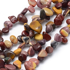 Mookaite Natural Mookaite Beads Strands, Chip, 11~22x8~11x4~10mm, Hole: 1mm, 15.3 inch(39cm)