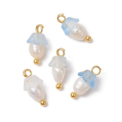 Светло-Голубой Цветочные акриловые подвески, с латунными штифтами с шаровидной головкой и бусиной из натурального культивированного пресноводного жемчуга, матовые, Небесно-голубой, 11.5x6 мм, отверстие : 1.6 мм