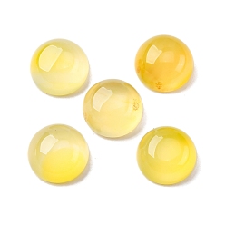 Желтый Агат Кабошоны из натурального желтого агата, окрашенная и подогревом, полукруглые / купольные, 10x5.5 мм