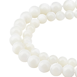Creamy White 2 Strands 2 Style Natural Spiral Shell Beads Strands, Round, Creamy White, 1 strand/style