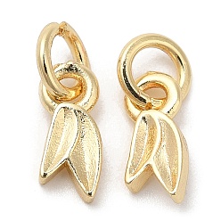 Real 14K Gold Plated Eco-Friendly Rack Plating Brass Charms, with Jump Ring, Long-Lasting Plated, Lead Free & Cadmium Free, Leaf Charm, Real 14K Gold Plated, 9.5x4x1.5mm, Hole: 3mm