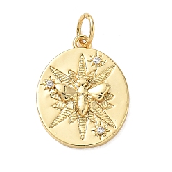 Clear Brass Micro Pave Cubic Zirconia Pendants, Oval with Bees Charms, Real 14K Gold Plated, Clear, 17.5x14x3mm, Hole: 4mm