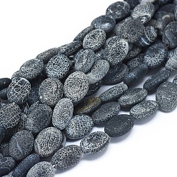 Weathered Agate Natural Weathered Agate Beads Strands, Dyed & Heated, Oval, 14x10~11x5~5.5mm, Hole: 0.5mm, about 28 pcs/Strand, 14.96 inch(38 cm)