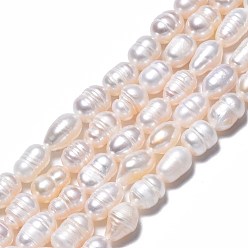 Seashell Color Natural Cultured Freshwater Pearl Beads Strands, Rice, Seashell Color, 8.5~12x6.5~7.5mm, Hole: 0.8mm, about 32~39pcs/strand, 13.82 inch~14.37 inch(35.1cm~36.5cm)