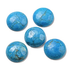 Говлит Природные кабошонов Говлит, окрашенные, плоско-круглые, 20~21.5x6~8 мм