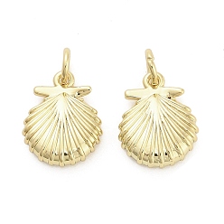 Настоящее золото 18K Латунные подвески, подвески в форме ракушек, долговечный, стойки покрытие, без свинца и без кадмия, ионное покрытие (ip), с целью перехода в кольце, реальный 18 k позолоченный, 13.5x11x3.5 мм