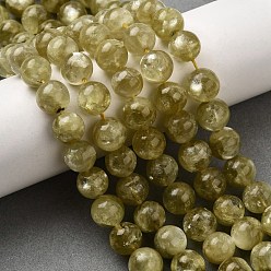 Цвет Оливы Натуральные лепидолитовые бусины, круглые, оливковый, 10 мм, отверстие : 1 мм, около 39~40 шт / нитка, 15.16~15.35'' (38.5~39 см)