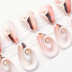 Freshwater Shell Natural Shell Beads Strands, 18~44x17~23x10~14mm, Hole: 1mm, about 16pcs/strand, 15.5 inch~16.1 inch(39.5~41.5cm)